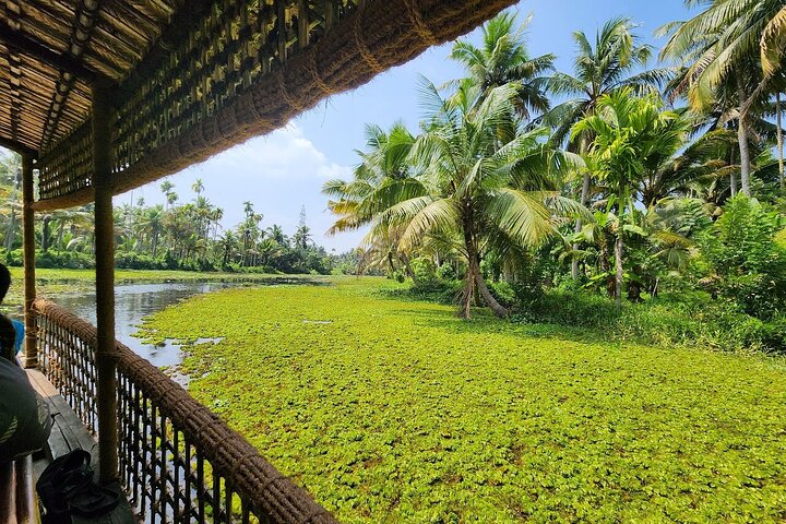 Cochin : Ecoboottocht met lunch door Backwater Village