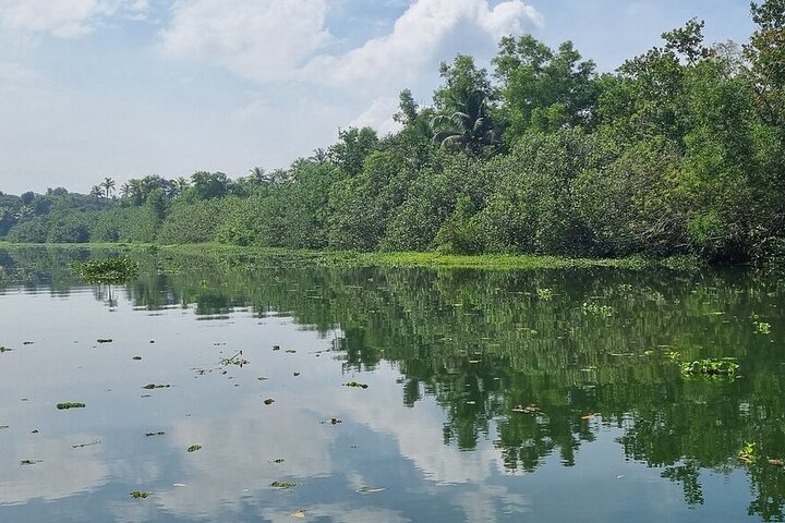 Cochin : Ecoboottocht met lunch door Backwater Village