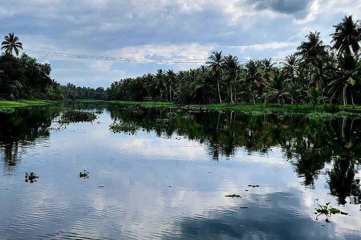 Cochin : Ecoboottocht met lunch door Backwater Village