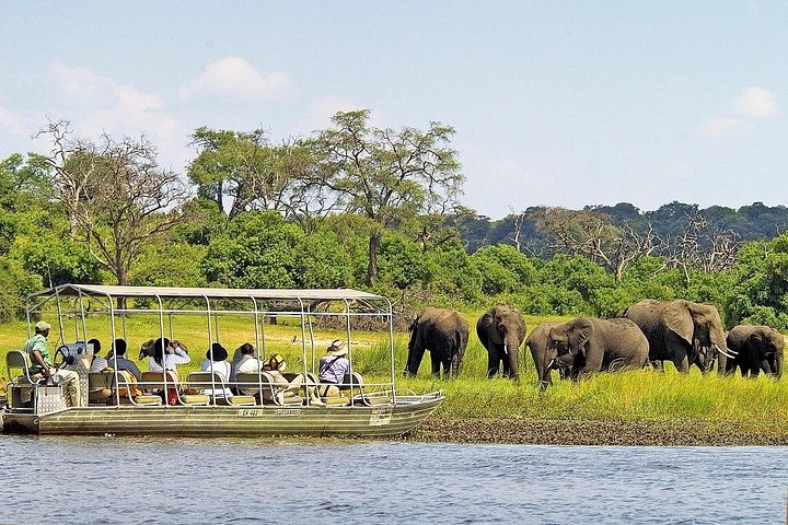 Chobe River Game Cruise – Wildlife & Birdwatching Experience