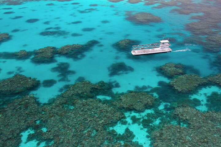 Quicksilver - Croisière plongée avec tuba dans la Grande barrière de corail à partir de Palm Cove