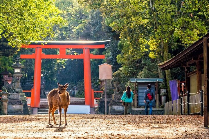 Forfait privé personnalisé de 3 jours complets: découvrez Kyoto, Arashiyama et Nara