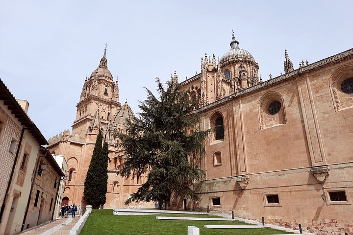 Komplette private Führung durch die Stadt Salamanca
