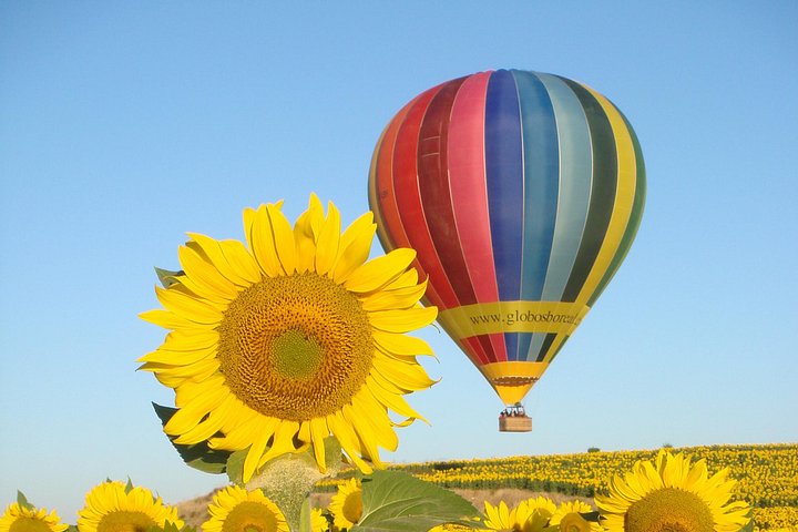 Balloon Rides i Segovia med valgfri transport fra Madrid