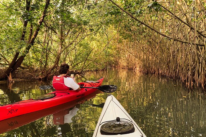 Kayak nella foresta di mangrovie di Paravur Backwaters vicino a Varkala e Kollam