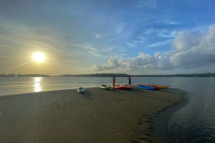 Kayak nella foresta di mangrovie di Paravur Backwaters vicino a Varkala e Kollam