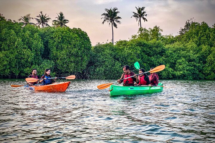 Kayak nella foresta di mangrovie di Paravur Backwaters vicino a Varkala e Kollam