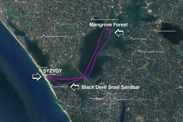 Kayak nella foresta di mangrovie di Paravur Backwaters vicino a Varkala e Kollam