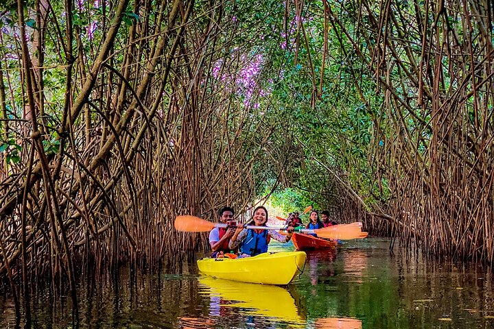 Kayak nella foresta di mangrovie di Paravur Backwaters vicino a Varkala e Kollam
