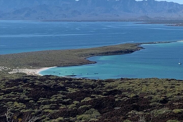 Tur till Coronado Island med snorklingaktivitet och picknick