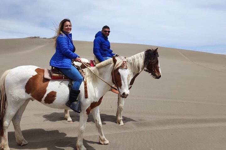 Randonnée à pied et à cheval sur la plage de Mauco Hill De VALPARAISO