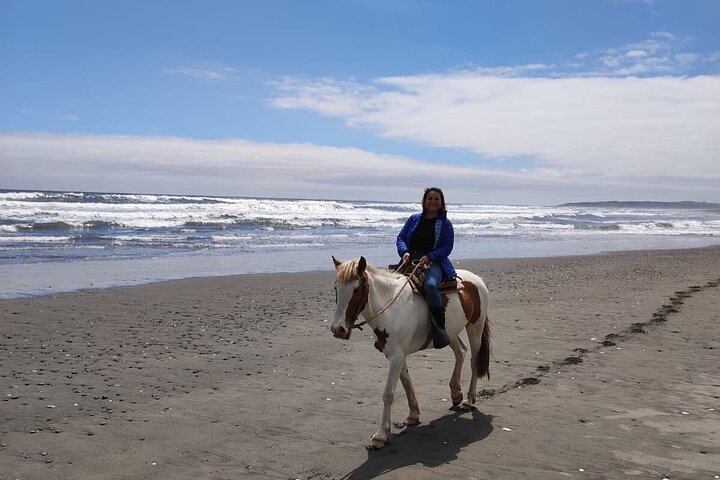 Randonnée à pied et à cheval sur la plage de Mauco Hill De VALPARAISO