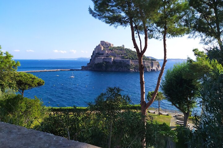 Half Day Private Guided Tour of the Island of Ischia