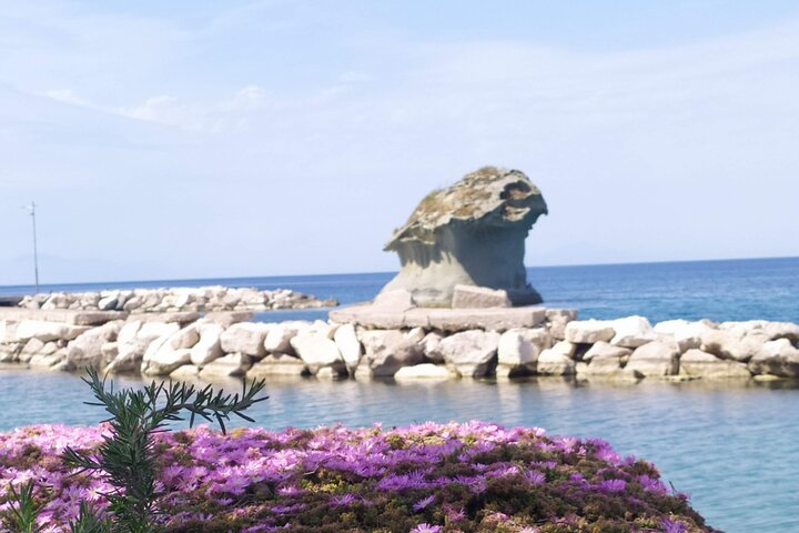 Half Day Private Guided Tour of the Island of Ischia