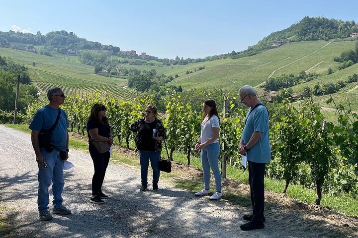 Barolo & Barbaresco-wijntour met een wijnmaker