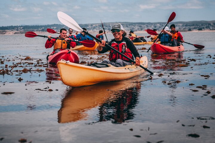 Monterey Bay Kayak leje to timer: Otter, Seals og Sea Lions