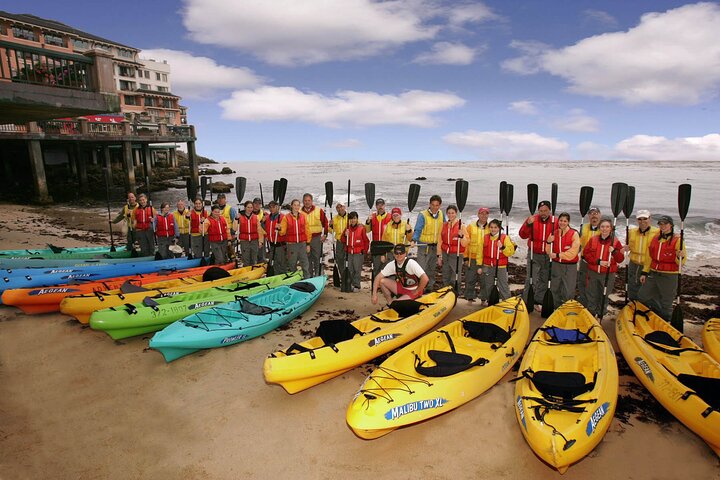 Monterey Bay Kayak leje to timer: Otter, Seals og Sea Lions