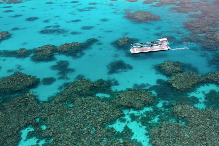 Quicksilver Great Barrier Reef Snorkel Cruise fra Port Douglas