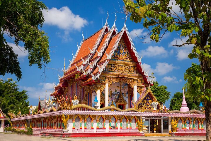 Phuket: Tour zu den Riesenseerosen und Tempeln – Privat und All-Inclusive