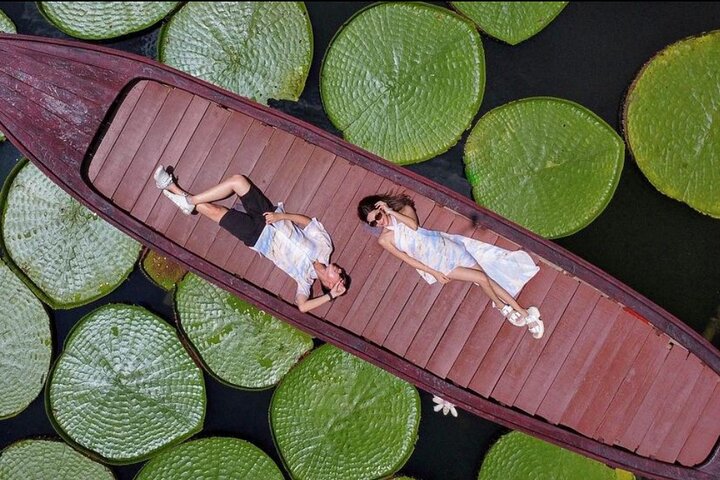 Phuket: Tour zu den Riesenseerosen und Tempeln – Privat und All-Inclusive