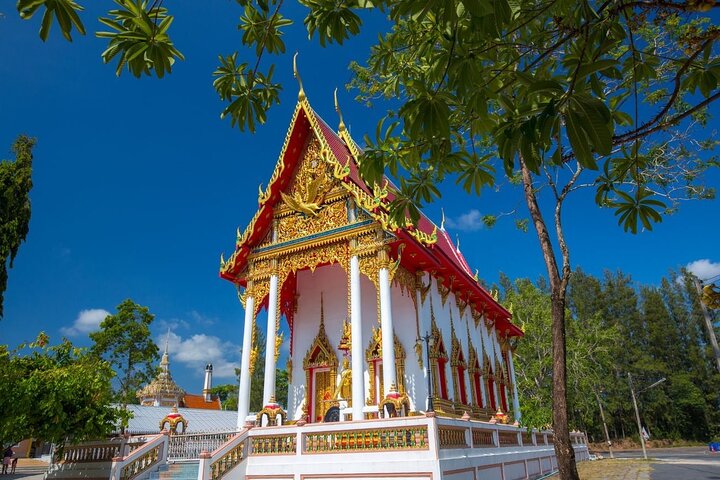 Phuket: Tour zu den Riesenseerosen und Tempeln – Privat und All-Inclusive