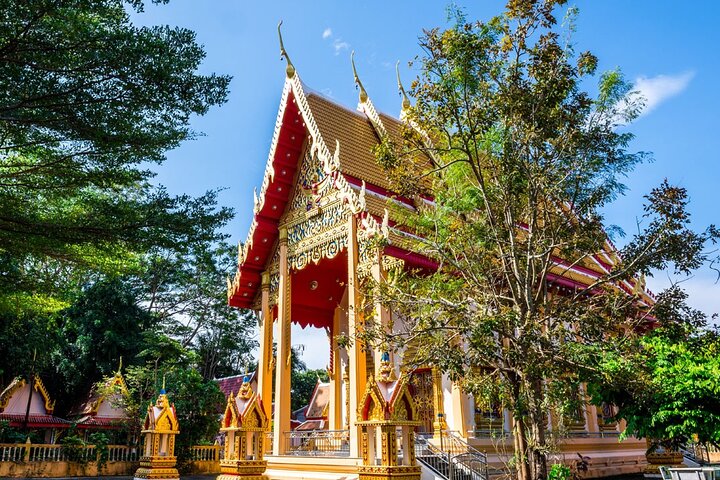 Phuket: Tour zu den Riesenseerosen und Tempeln – Privat und All-Inclusive