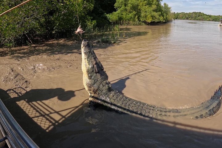 O Croc Bus para o famoso Jumping Crocodile Cruise