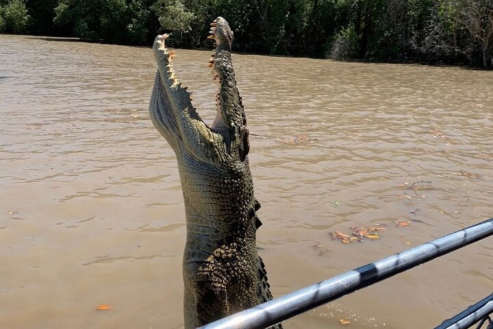 O Croc Bus para o famoso Jumping Crocodile Cruise