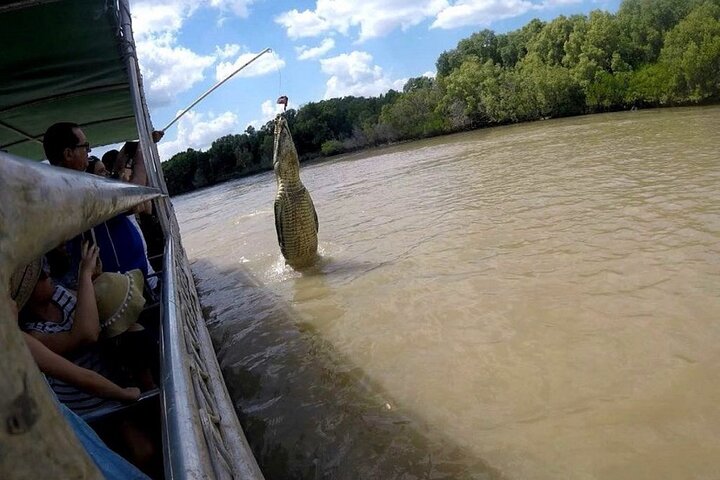O Croc Bus para o famoso Jumping Crocodile Cruise
