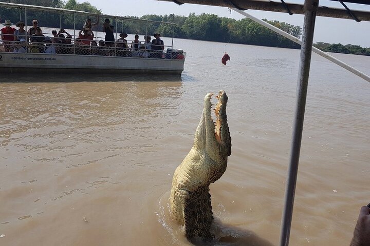 O Croc Bus para o famoso Jumping Crocodile Cruise