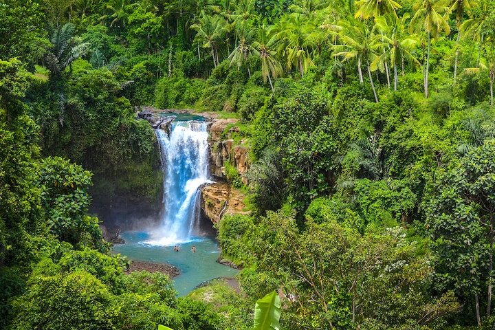 Ubud: Monkey Forest, Jungle Swing, Rice Terrace and Water Temple