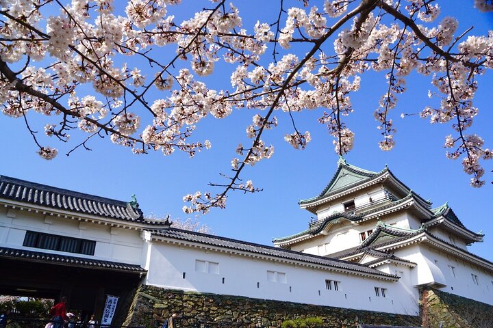Det bedste ved Wakayama City Private Tour