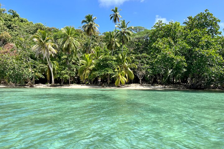 Caribbean Catamaran Day Cruise: Strande, snorkling og frokost