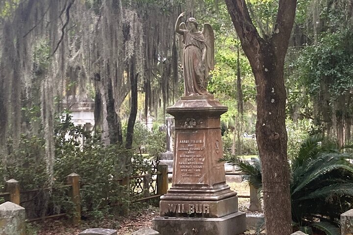 Tour guidato di 1 ora del carrello da golf del Bonaventure Cemetery a Savannah
