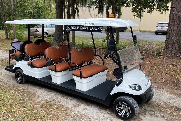 Tour guidato di 1 ora del carrello da golf del Bonaventure Cemetery a Savannah