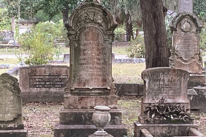 Tour guidato di 1 ora del carrello da golf del Bonaventure Cemetery a Savannah