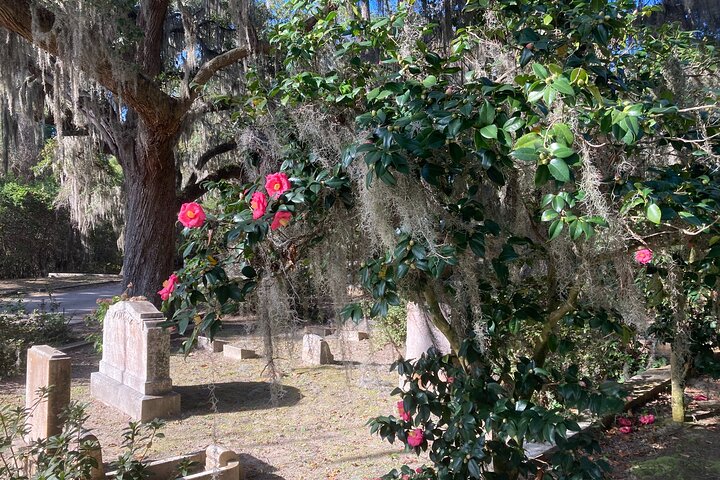 Tour guidato di 1 ora del carrello da golf del Bonaventure Cemetery a Savannah