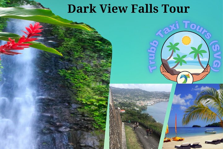 Tour por las cataratas Dark View con Trubb Taxi Tours SVG