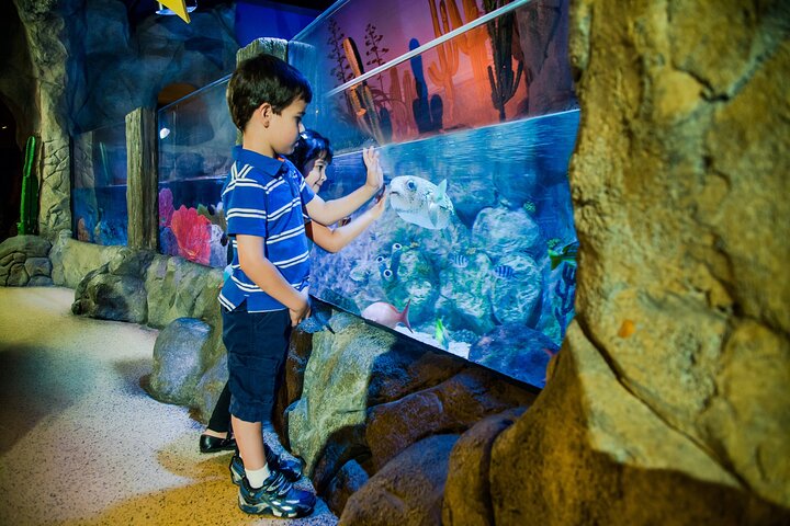 Hoteller i nærheden af SEA LIFE Oberhausen