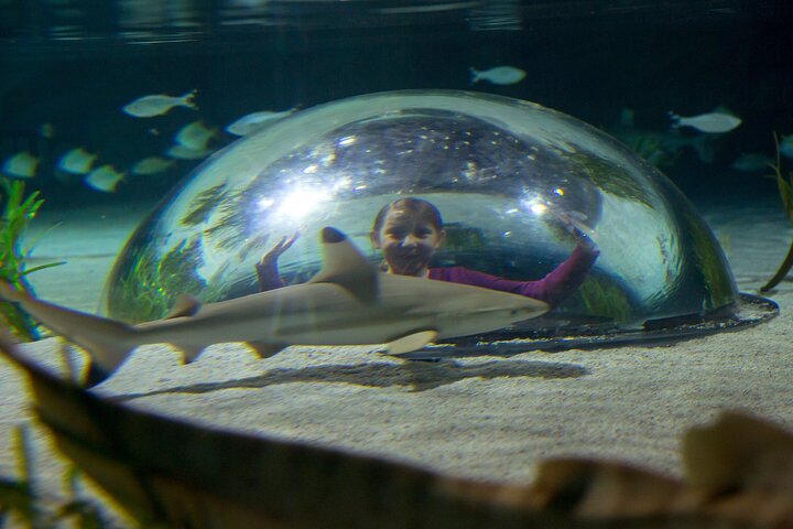 Hoteller i nærheden af SEA LIFE Oberhausen