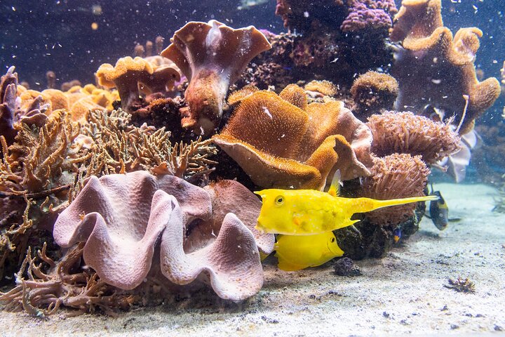 Hoteller i nærheden af SEA LIFE Timmendorfer Strand