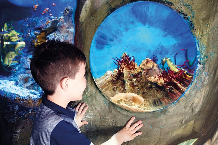 Hoteller i nærheden af SEA LIFE Timmendorfer Strand