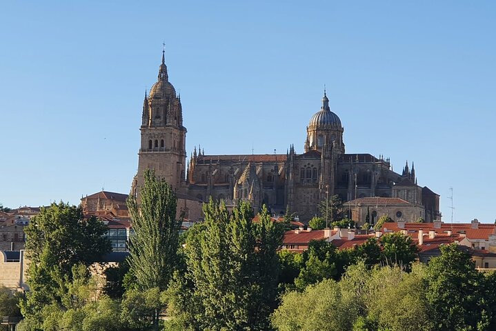 Komplette private Führung durch die Stadt Salamanca