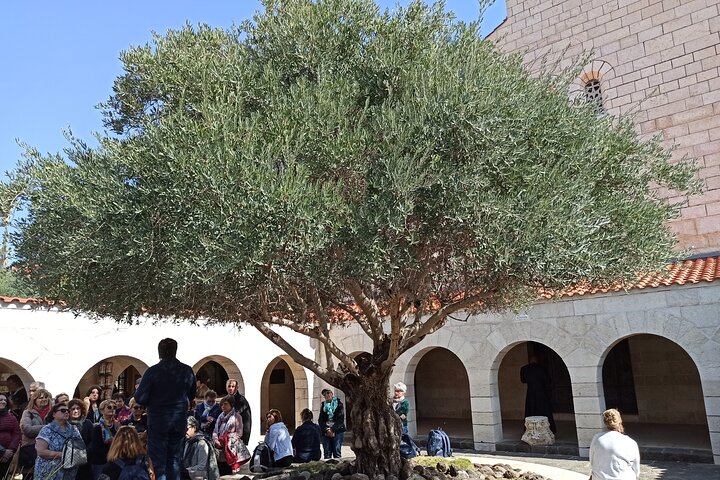 Ganztägige Tour nach Nazareth und zum See Genezareth