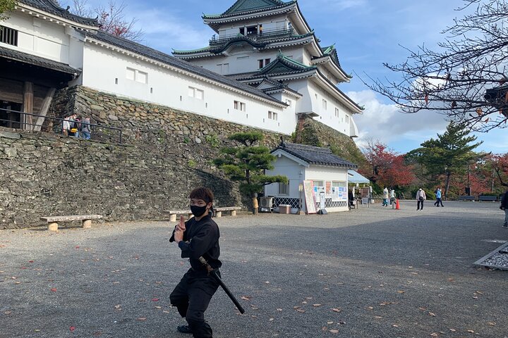 Det bedste ved Wakayama City Private Tour