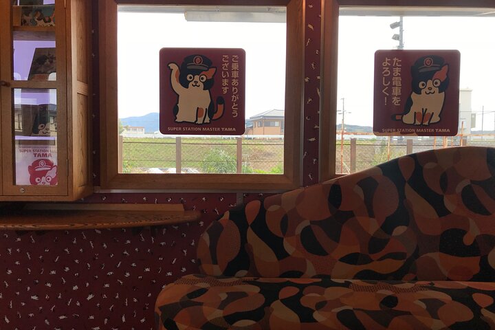 Det bedste ved Wakayama City Private Tour