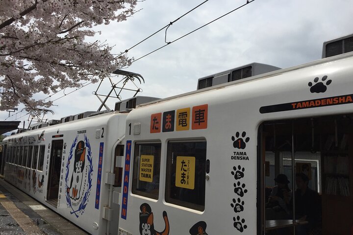 Det bedste ved Wakayama City Private Tour