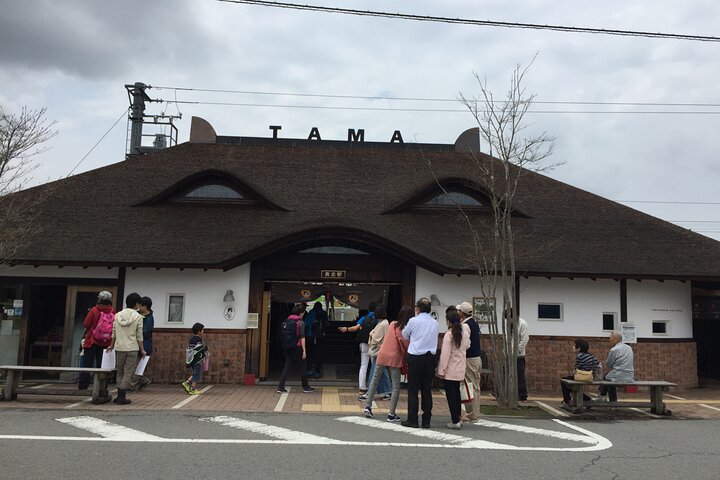 Det bedste ved Wakayama City Private Tour