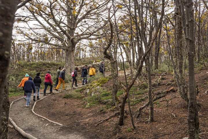 National Park with Train and Navigation Beagle Channel Full Day Tour