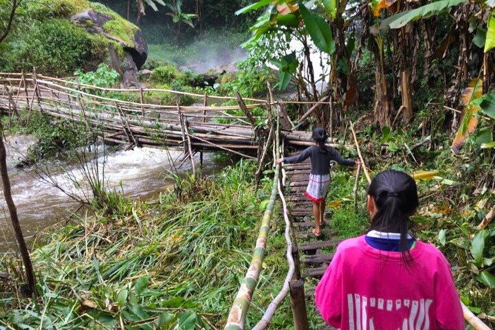 3 em 1: Excursão Doi Inthanon, Santuário de Elefantes e Trilha de Trekking